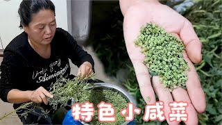 【胖嫂show】胖嫂揪的啥？用它腌了一盆咸菜，闻着一股薄荷味，这东西好吃吗？