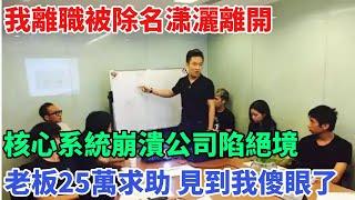 我離職被除名瀟灑離開，核心系統崩潰公司陷絕境，老板25萬求支援見到我傻眼了【奇遇天下】 #鑒寶 #考古 #考古發現 #小閆打鐵鐲