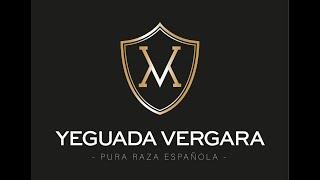 YEGUADA VERGARA