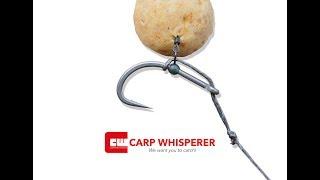 BOW RIG TUTORIAL Carp Whisperer TV