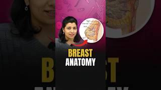 NEET Concept | Breast Anatomy | Breast Structure | NEET 2024 Biology #neetbiology #neet2024