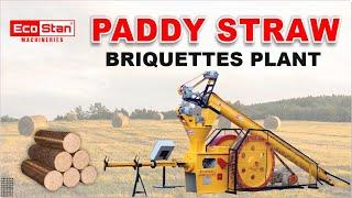 ECOSTAN® Paddy Straw Briquetting Plant, Paddy Straw Solution, Call +91-99140-33800, +91-161-5200-150