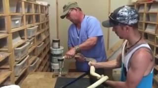 Ray Hunter extracting Monocled Cobra venom