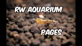 RW Aquarium Pages Introduction