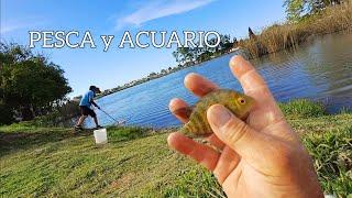 Pesca con caña y red en el lago. muchos peces #Acuario