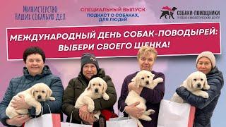Международный день собак-поводырей