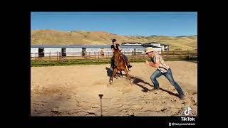 NCHA cutting horse dance partner