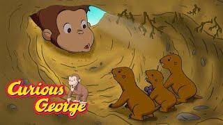 George Makes Friends Underground  Full Episodes | Curious George