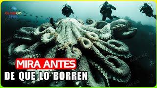 ¡SECRETOS INCREÍBLES! Si No Existieran Nuevas Imágenes De La Fosa De Las Marianas,¡NADIE Lo CREERÍA!