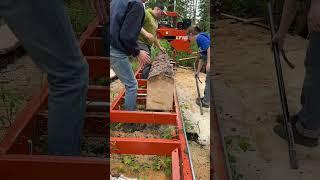 Making boards in bulk!!! #woodmizer #sawmill #alaskalife