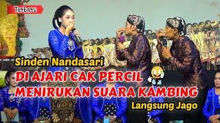 NANDASARI MENIRUKAN SUARA KAMBING, LANGSUNG JAGO // CAK PERCIL TERBARU !!!