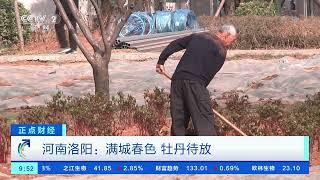 [正点财经]湖南邵阳：千亩樱花如云似霞|CCTV财经