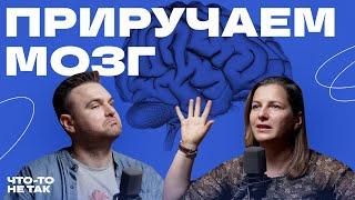 Сделать жизнь лучше: про Дофаминовый голод, Нейрогимнастику, Суперфуды и Габа Чай - что работает?