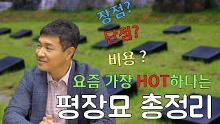 평장묘 총정리 (장점, 단점, 비용, 주의할 점 등)