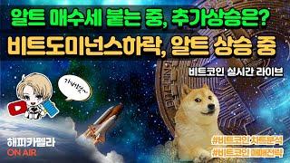 비트코인 실시간, 비트코인 도미넌스 하락! 알트코인 상승 중! 추가상승은? 12/24 아침#비트코인 #비트코인실시간 #이더리움 #리플 #cryptocurrency #차트분석