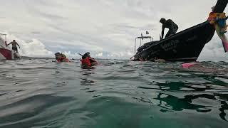 Snorkeling, Phi Phi island,Thailand