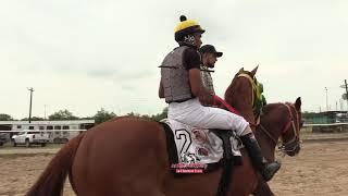 HIT 14 LA PIÑITA CUADRA NOGALES EL YANKEE CUADRA TEXANO LA FLECHA CUADRA TG