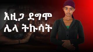 እዚጋር ደግሞ ሌላ ትኩሳት Adiss film |Ethiopian movies |