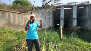 "SNAKEHEAD FISH AND ROHUFISH CATCHING" SINGLE HOOK FLOAT FISHING TECHNIQUES