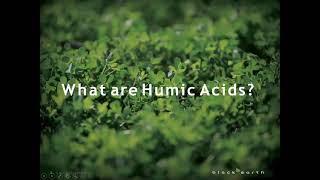 Humic | Webinar | TopKrop Fertilizers (2021)