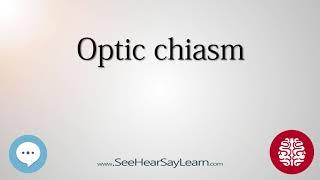 Optic chiasm   Anatomy of the Brain   SeeHearSayLearn 