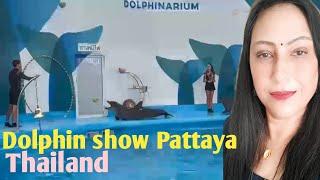 Dolphin show in Thailand||Amazing show #dolphinarium