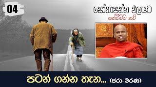 04) පටන් ගන්න තැන...(ජරා මරණ ) | සෝතාපන්න ඵලයට පත්වීමට නම්