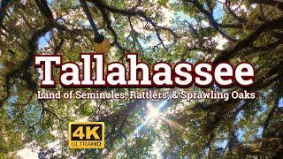 Tallahassee  - Land of Seminoles, Rattlers, and Sprawling Oaks