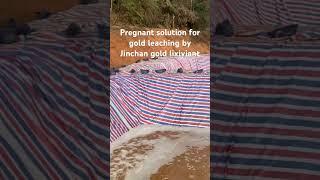 Pregnant solution from gold leach #miningindustry #goldextraction #sustainablemining #jinchan #gold