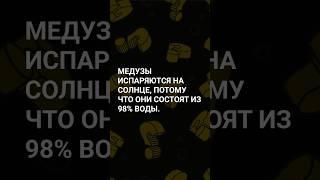 Интересный факт! А ты знал? #открытия #тайны #загадки #факт #факты #расследования #история #наука