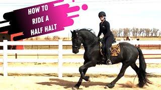 How Do You Ride A Half Halt In Dressage?