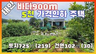 [물건번호2866]태안군 이원면 "바다900m 거리 5천가격인하 급매 "  텃밭 예쁜 주택 입니다,  텃밭에 채소가 화초처럼 자라고 있는 예쁜 텃밭 가진 태안 바닷가주택 입니다,