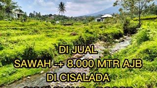 Di Jual Tanah + Sawah CIGOMBONG BOGOR #jualtanah #tanahmurah #sawah @ALDI PROPERTY BGR