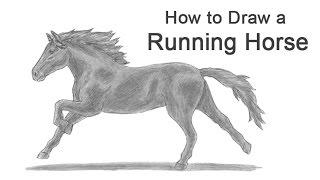 How to Draw a Horse Running