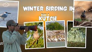 Birds of Kutch | Winter birding in Kutch Day 1