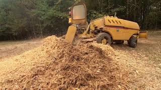 The Best Way to Cleanup A Stump Grinding and Tree Job
