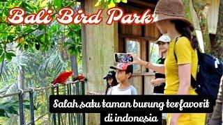 Bali Bird Park | One of the most favorite bird parks in Indonesia. #balibirdpark #tamanburungbali