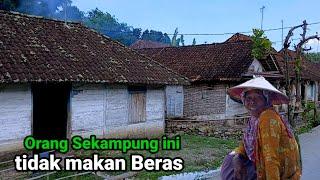 Dusun Kampung tidak makan beras Pedesaan Bojonegoro sisi selatan sebelah hutan jarang menanam padi.