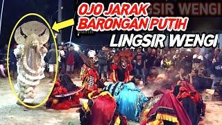 Angkerrr.!! Lingsir Wengi Ritual Ndadi Jaranan Turonggo Mayang Djambe