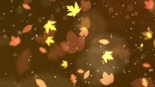 Falling Autumn Leaves - 2 Hour Loop of Fall Colors with Relaxing Acoustic Guitar Music