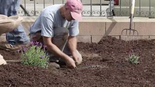 Green Gardener Program -  Irrigation Management (English)