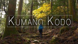 HIKING | The KUMANO KODO Trail, Japan