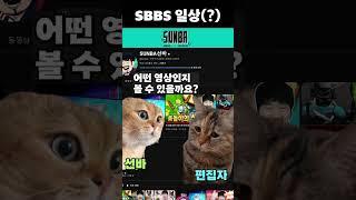 SBBS 일상(아니에요)