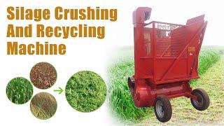 Taizy Corn Forage Harvester - Stalks Crushing and Recycling Machine #silageharvester #silage