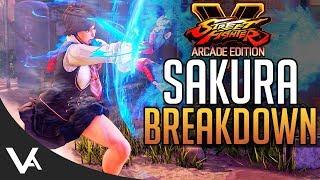 SFV - Sakura Gameplay Trailer Breakdown! Combos & V-Trigger For Street Fighter 5 Arcade Edition