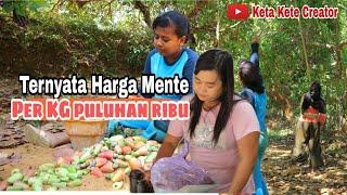 Mencari Jambu Mete di Kebun,