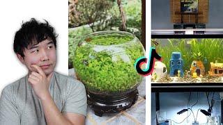 Which Fish Tank is WORSE? | Fish Tank Review 257