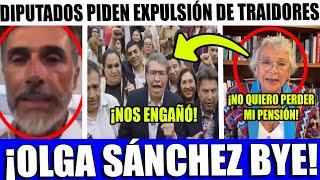 ESCANDALÓ! PIDEN EXPULSION DE OLGA SANCHEZ ¡NO ESTABA ENFERMA! TRAICIONÓ AL PUEBLO