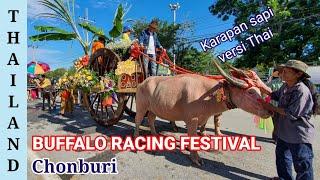 The FAMOUS Buffalo Racing Festival for over 140 years | Thailand Traditional Festival of The Year