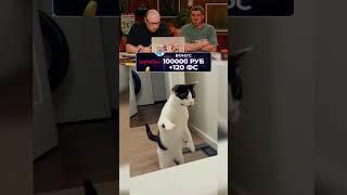 СМЕХ ДО СЛЕЗ Я НЕ МОГУ ОСТАНОВИТЬСЯ